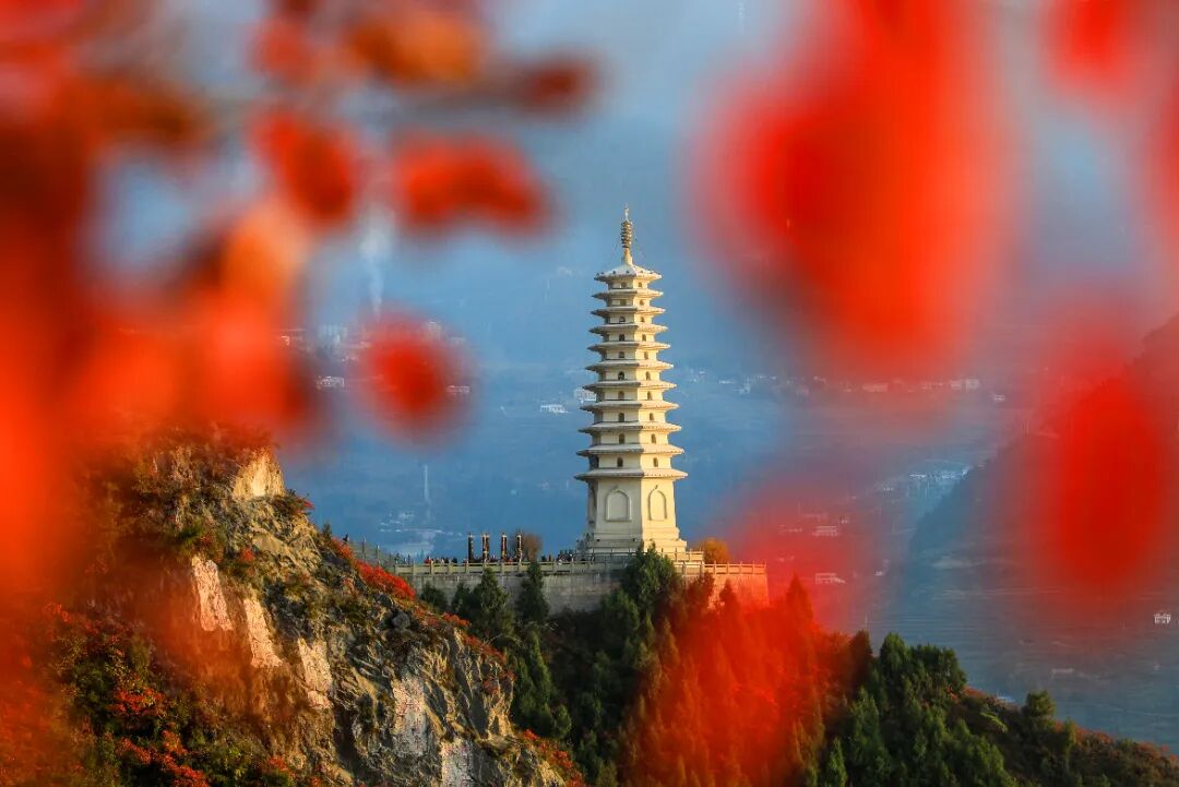 免门票！！！巫山红叶节来啦！每一帧都美到失语！