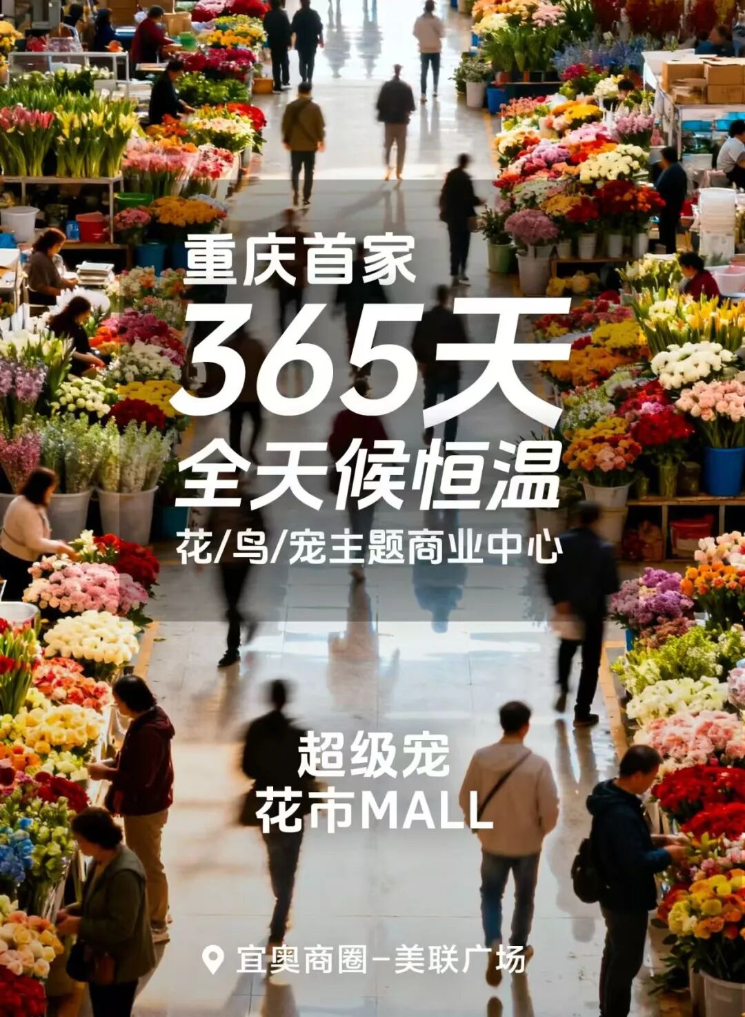 预计5月开业！重庆首家室内花鸟宠购物中心来啦